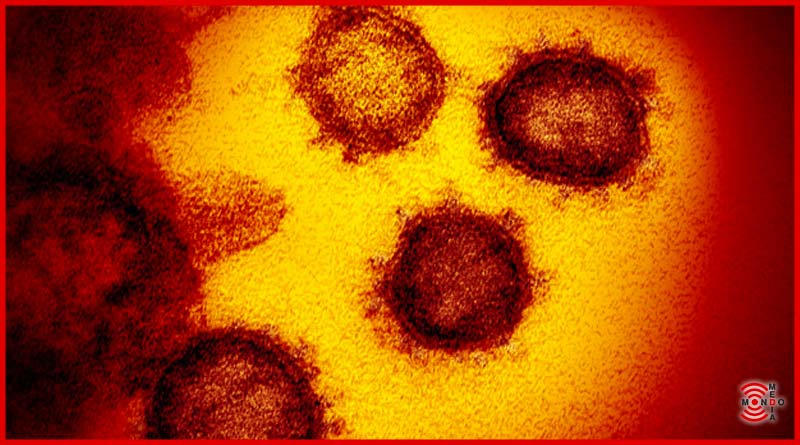 coronavirus farmaco